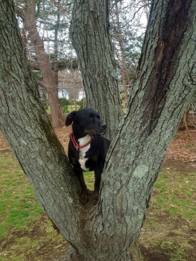 Madison Park - Paramus, NJ