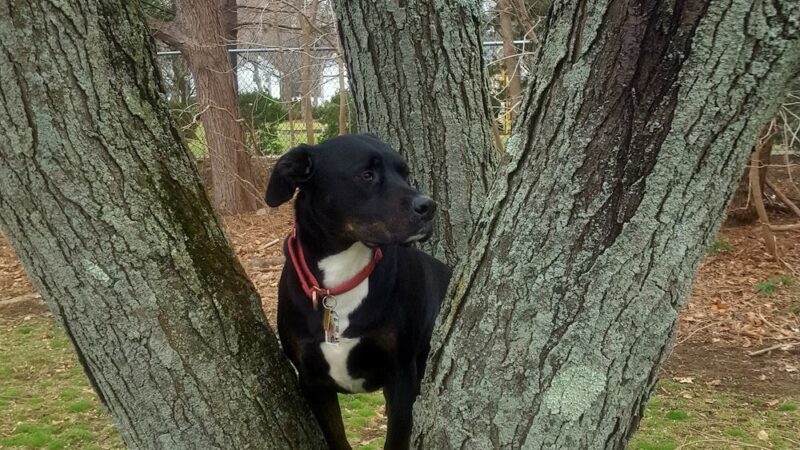 Madison Park - Paramus, NJ