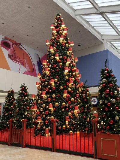 Paramus Park - Paramus, NJ