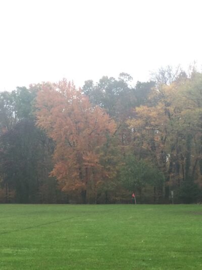 Reid Park - Paramus, NJ