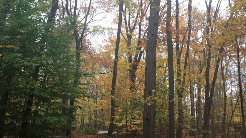 Reid Park - Paramus, NJ