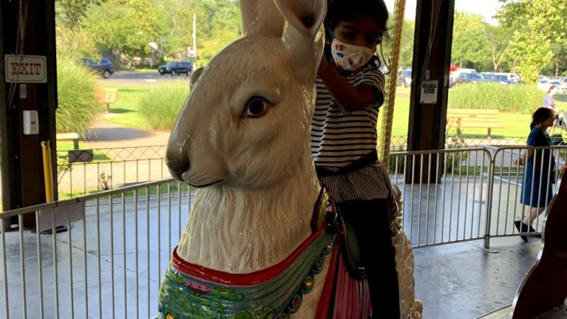 Van Saun Park Carousel - Paramus, NJ