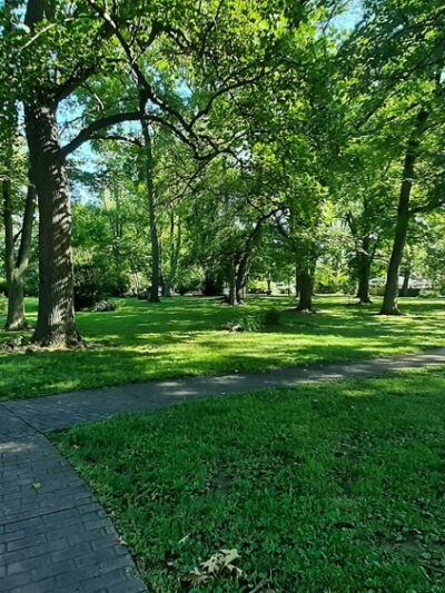 Schwartz Park - Paris, IL