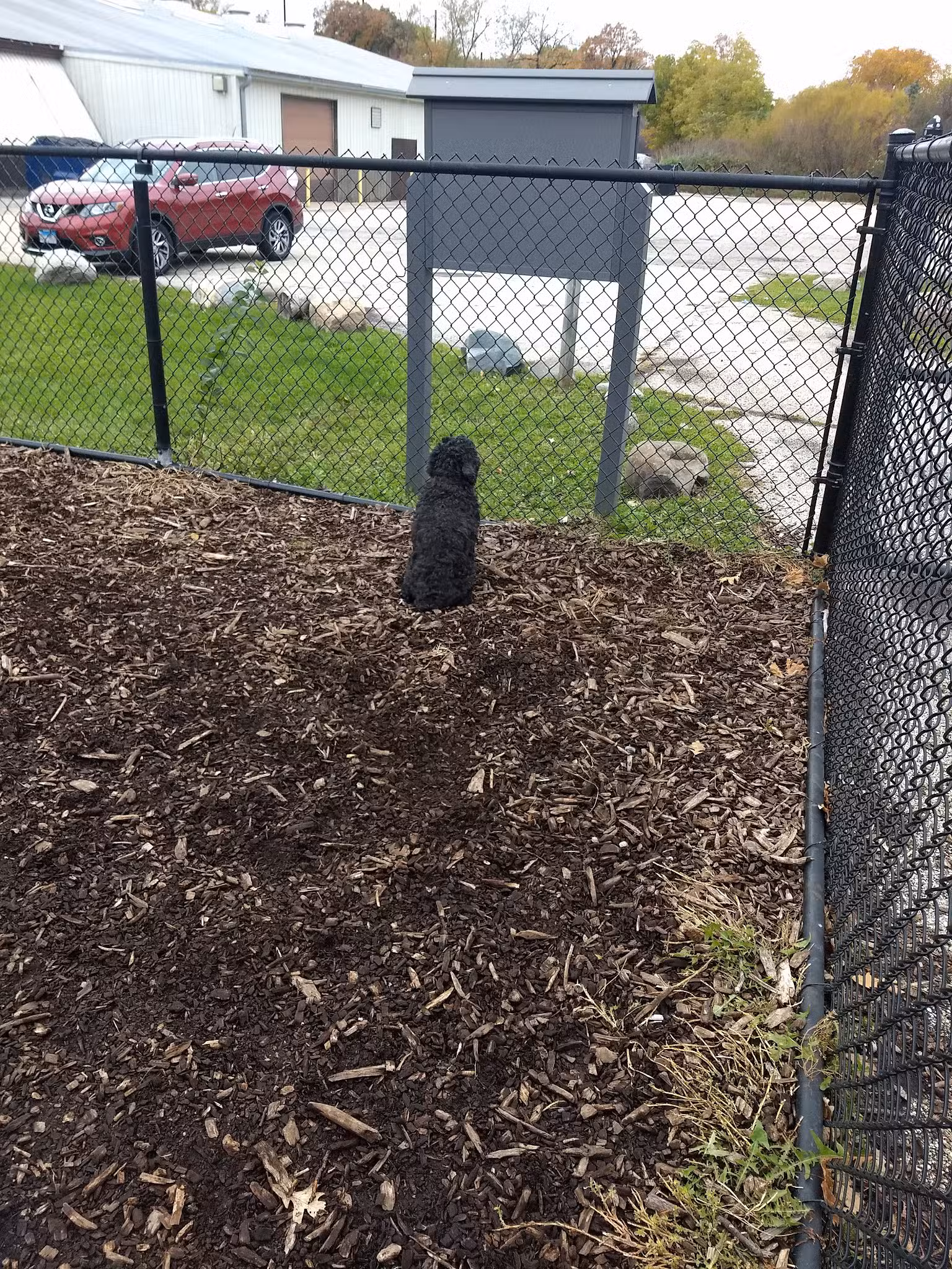 Paws Park - Park Ridge, IL