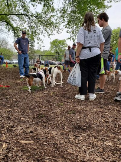 Paws Park - Park Ridge, IL