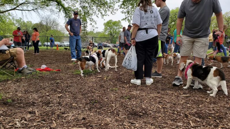 Paws Park - Park Ridge, IL