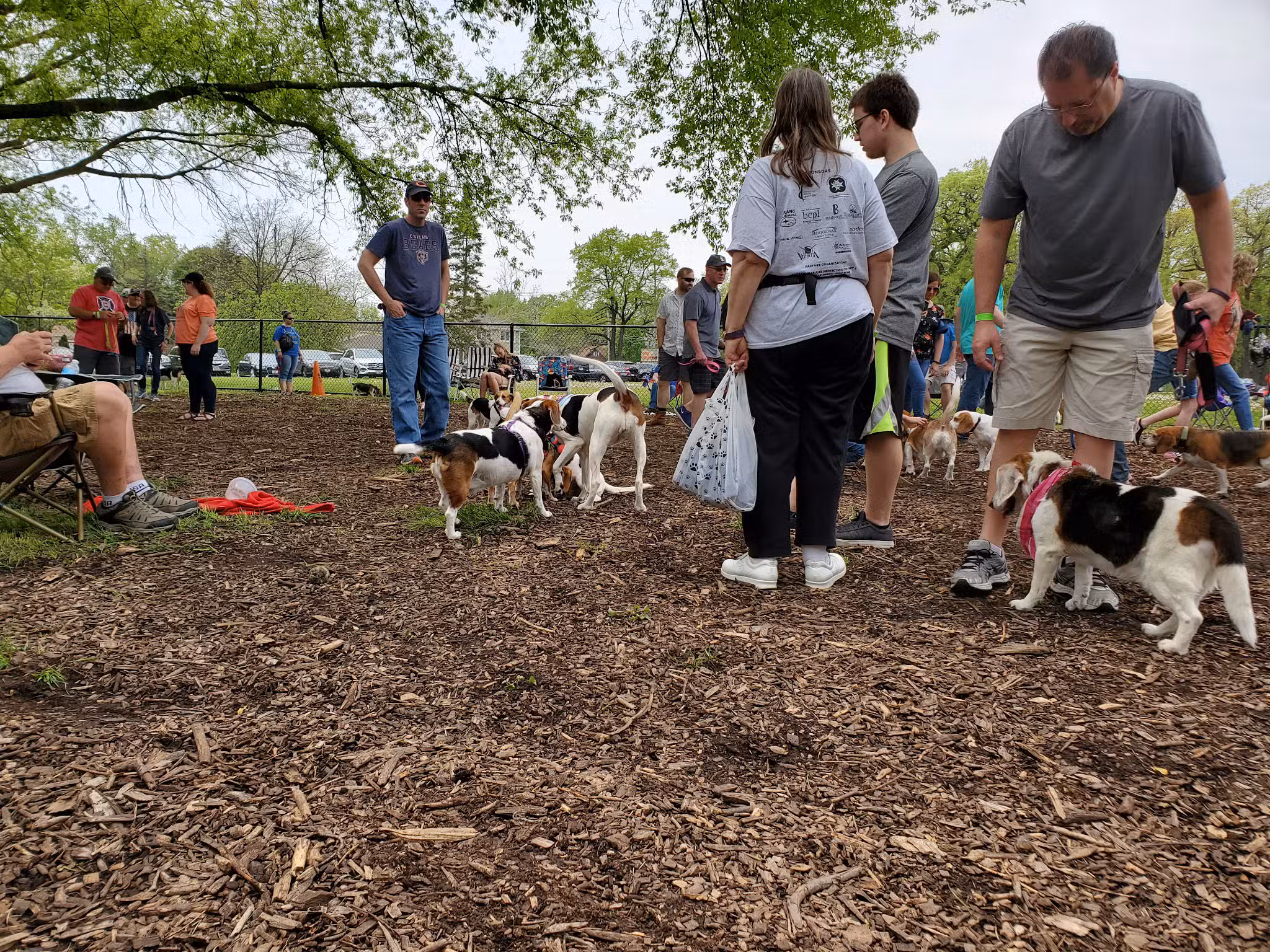 Paws Park - Park Ridge, IL