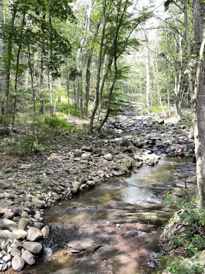 Atkins’s Glen - Park Ridge, NJ