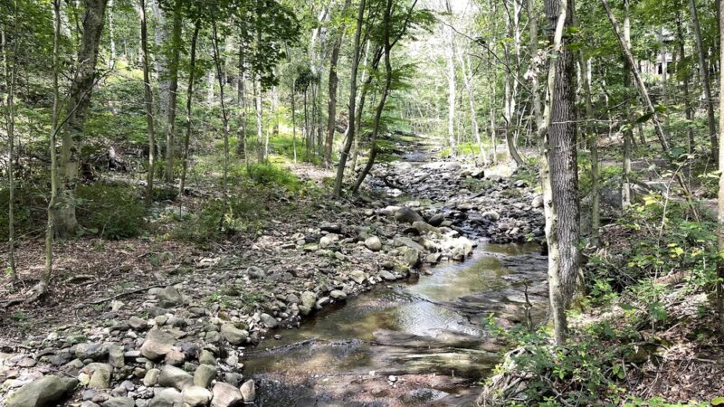 Atkins’s Glen - Park Ridge, NJ