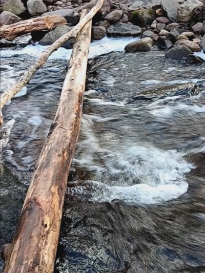 Atkins’s Glen - Park Ridge, NJ