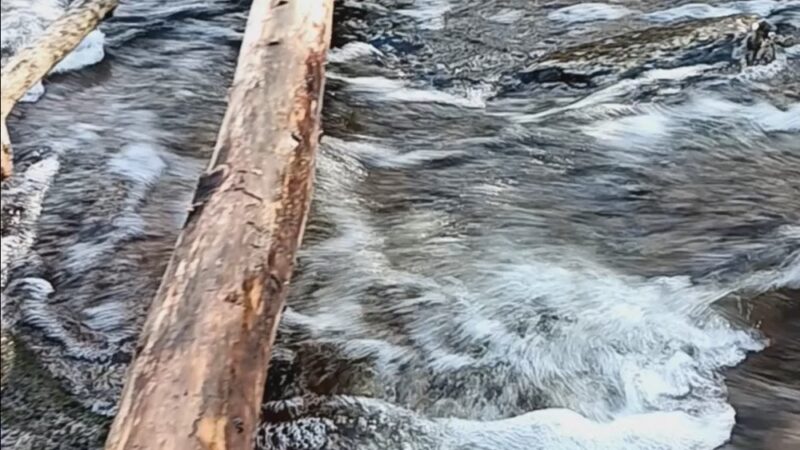 Atkins’s Glen - Park Ridge, NJ