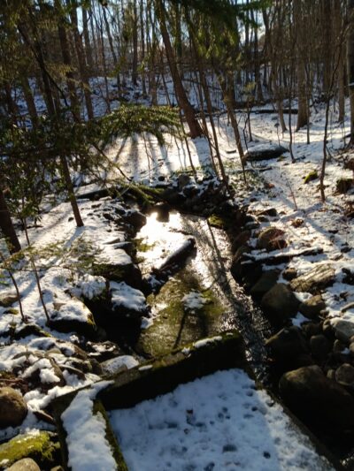 Atkins’s Glen - Park Ridge, NJ