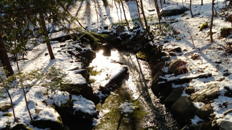 Atkins’s Glen - Park Ridge, NJ