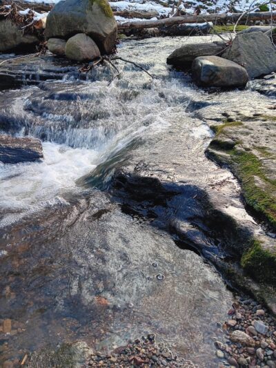 Atkins’s Glen - Park Ridge, NJ