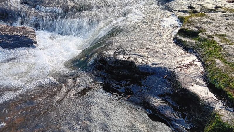 Atkins’s Glen - Park Ridge, NJ