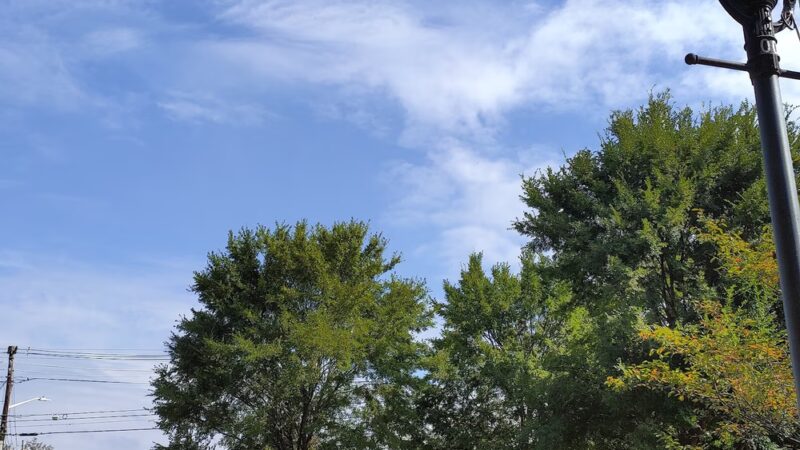 Veterans Park - Park Ridge, NJ