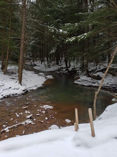 North country trail - Parker, PA