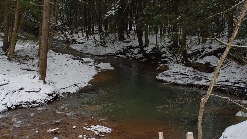 North country trail - Parker, PA