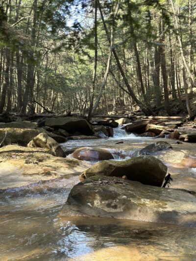 North country trail - Parker, PA