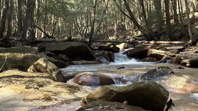North country trail - Parker, PA