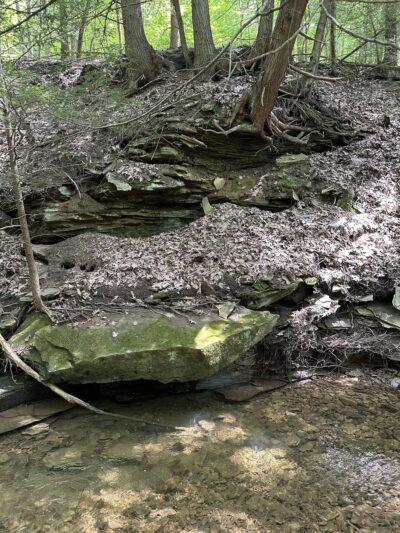 North country trail - Parker, PA