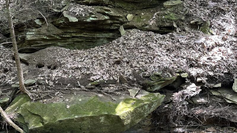 North country trail - Parker, PA