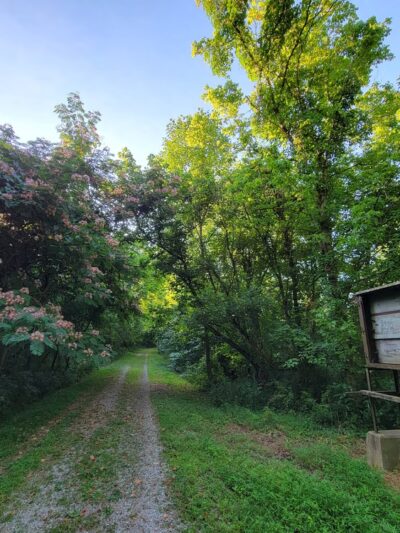 NBRT Happy Valley Trail Head - Parkersburg, WV