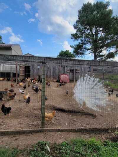 NBRT Happy Valley Trail Head - Parkersburg, WV
