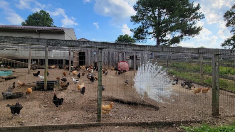 NBRT Happy Valley Trail Head - Parkersburg, WV
