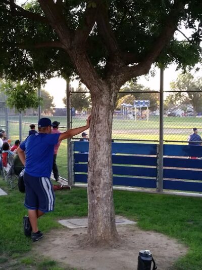 Veterans Park - Parlier, CA