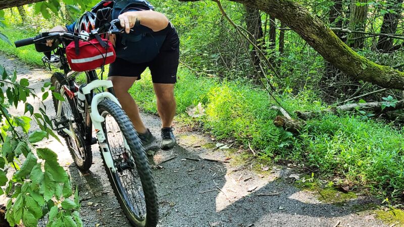 Allegheny Highlands Trail - Hambleton Trail Access - Parsons, WV