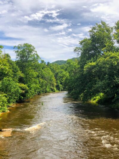 Allegheny Highlands Trail - Hambleton Trail Access - Parsons, WV