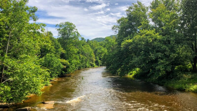 Allegheny Highlands Trail - Hambleton Trail Access - Parsons, WV