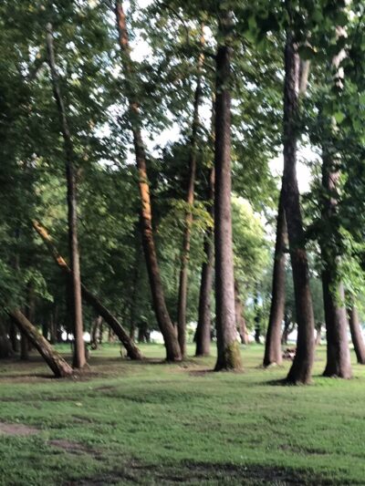 Five River Campgrounds - Parsons, WV