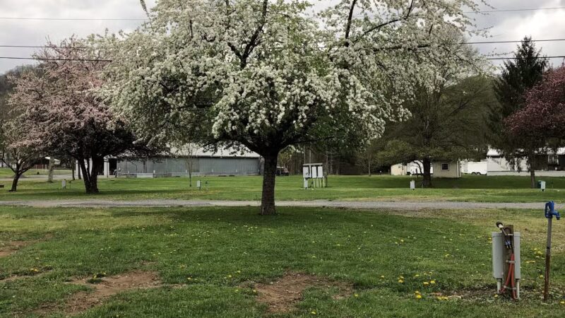 Five River Campgrounds - Parsons, WV