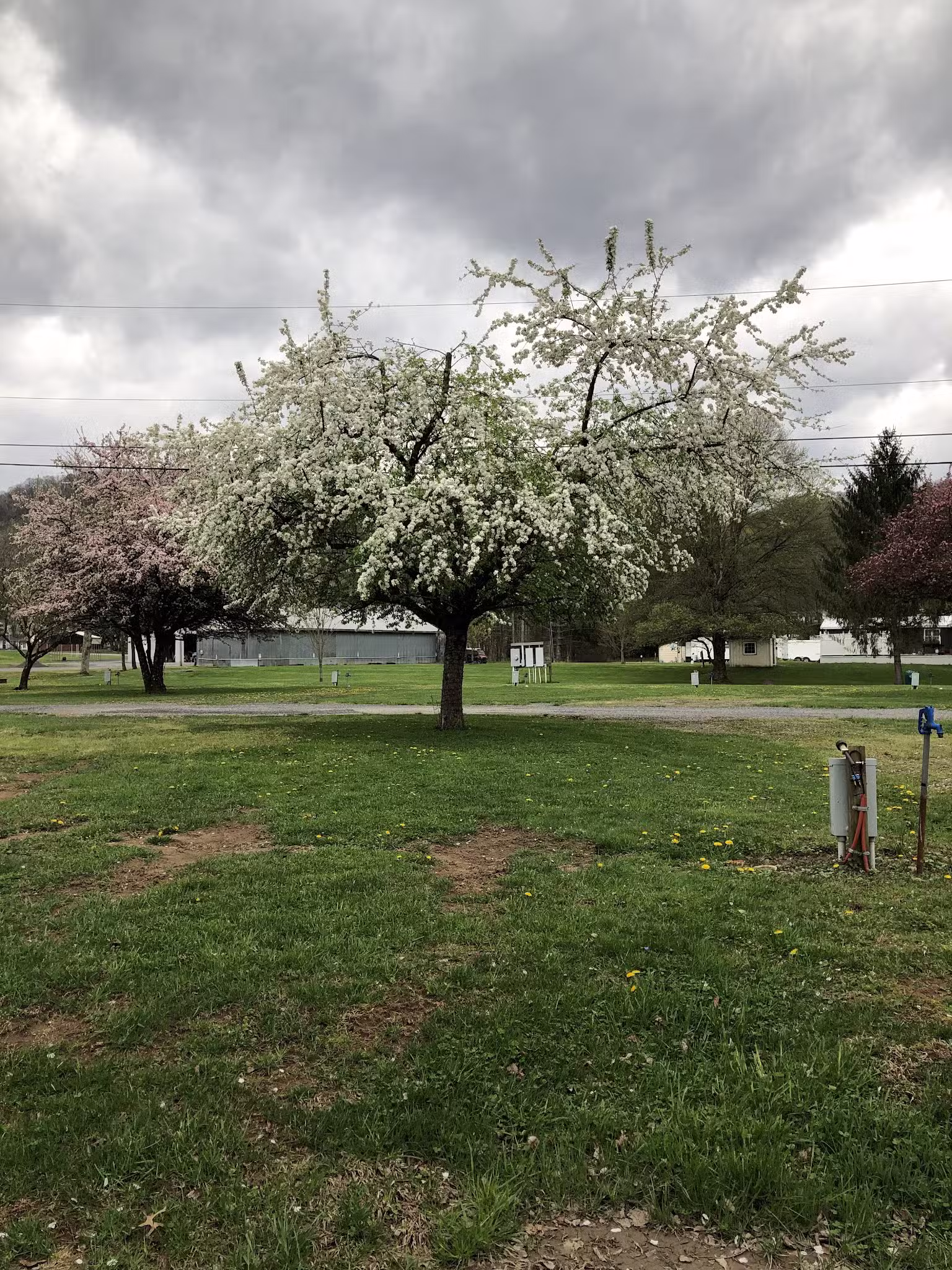 Five River Campgrounds - Parsons, WV