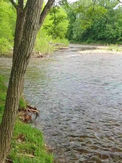 Five River Campgrounds - Parsons, WV