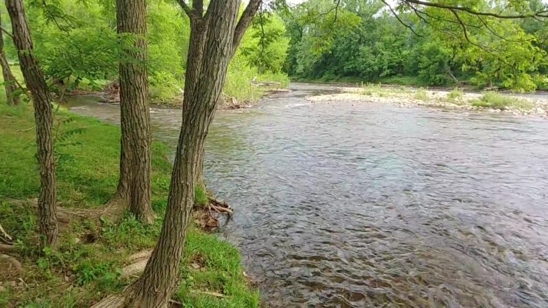 Five River Campgrounds - Parsons, WV