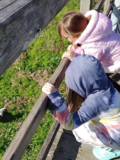 Bliss Meadows Park - Pasadena, TX