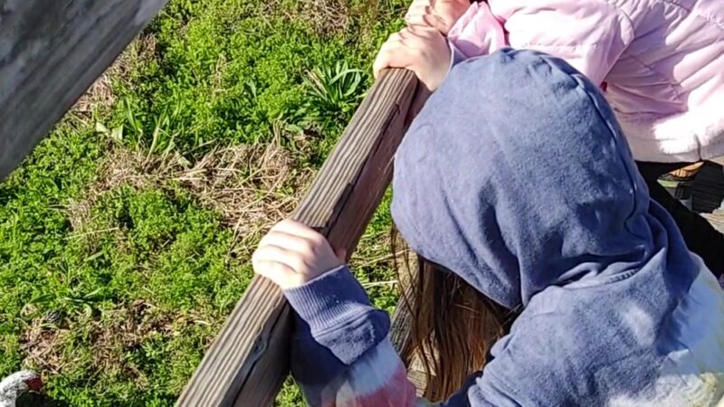 Bliss Meadows Park - Pasadena, TX