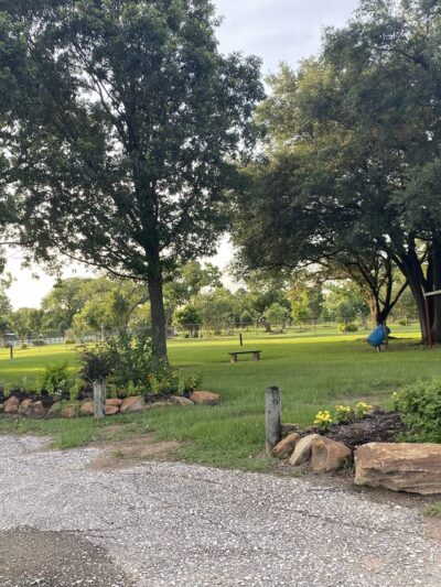 Parkgate North Park - Pasadena, TX