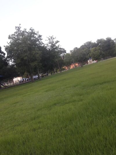 Pine Park - Pasadena, TX