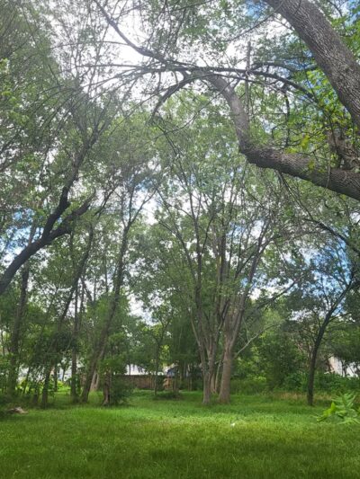 Satsuma Park - Pasadena, TX