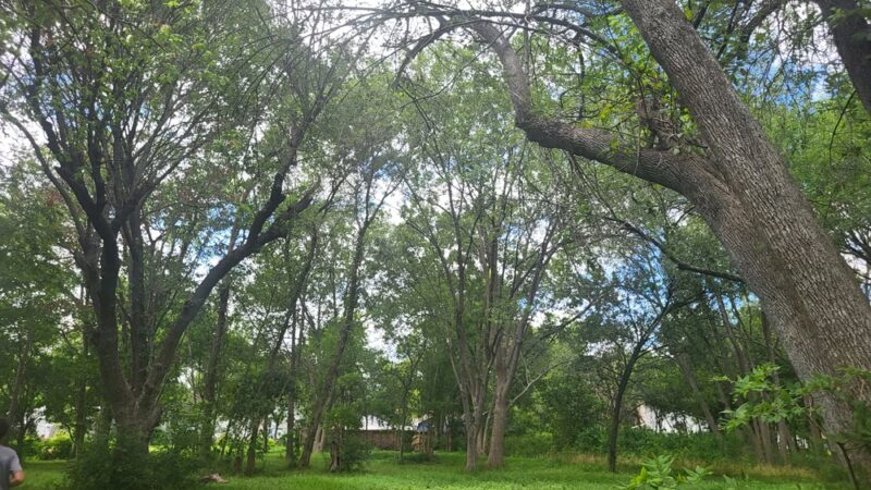 Satsuma Park - Pasadena, TX