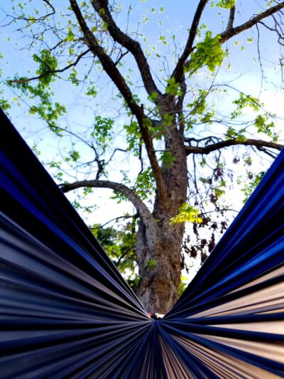 Sherwood Park - Pasadena, TX