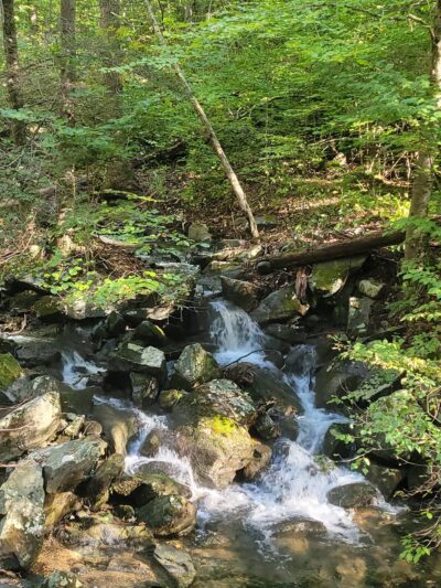 Michael Ciaiola Conservation Area (Parking) - Patterson, NY