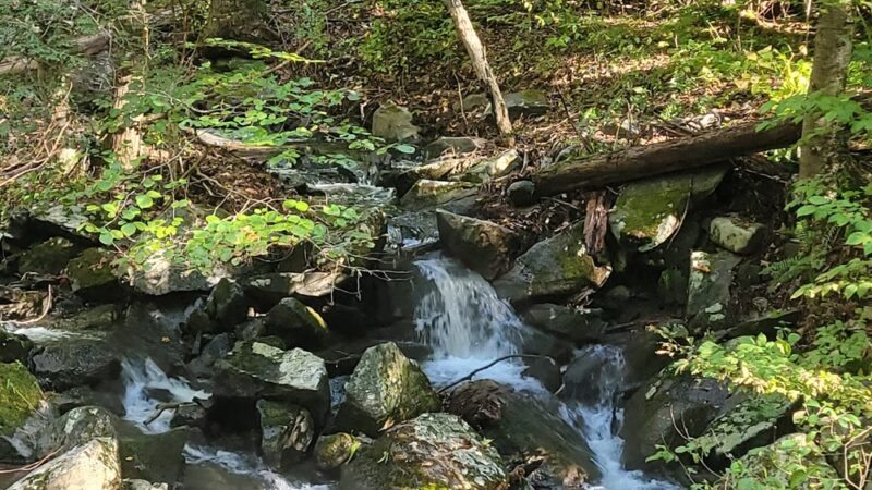Michael Ciaiola Conservation Area (Parking) - Patterson, NY