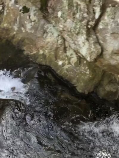 Michael Ciaiola Conservation Area (Parking) - Patterson, NY