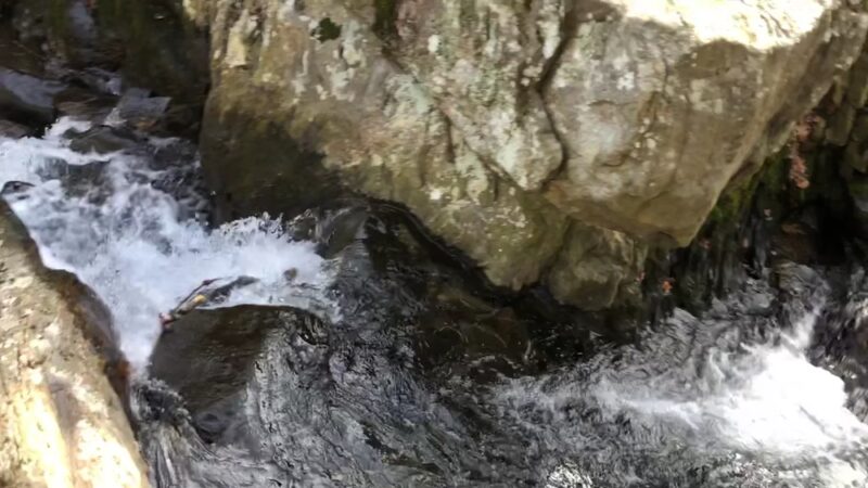 Michael Ciaiola Conservation Area (Parking) - Patterson, NY