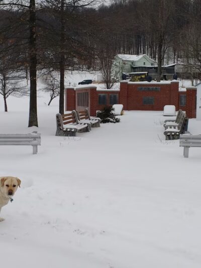 Patton Park & Pool - Patton, PA